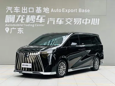 2023 GAC Trumpchi Trumpchi M8 Model Master Series Hybrid Royal Edition, фото 1, лот 10414445