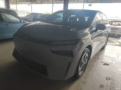 2023 Venucia VX6 520 Pro, фото 2, лот 11214637