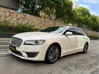 2019 Lincoln MKZ 2.0T Zunxiang Edition China V, фото 1, лот 10319135