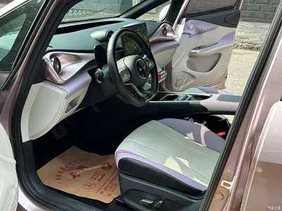 2021 BYD Dolphin 401km Knight Edition, фото 4, лот 10254971