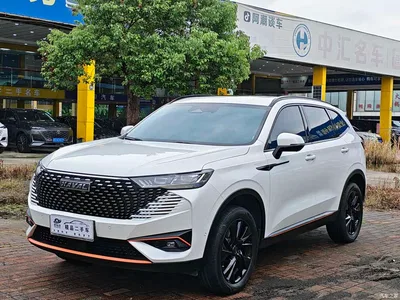 2021 Haval H6 3rd Generation 2.0T Automatic AWD Supreme, фото 1, лот 10296166