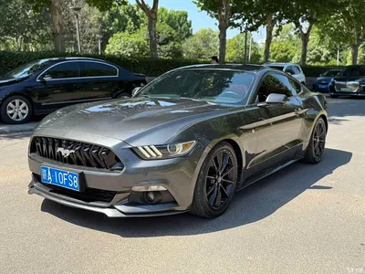 2015 Ford Mustang 2.3T Performance Edition, фото 1, лот 11205823