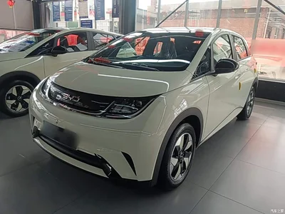 2025 BYD Dolphin 420km Freedom Edition, фото 2, лот 10263967