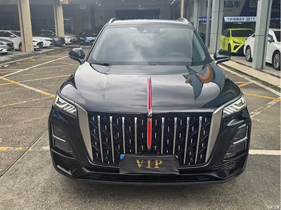 2023 Hongqi HS5 2.0T Flag Enjoy Pro Edition, фото 2, лот 10336308