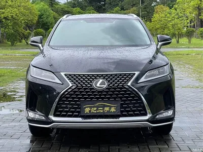 2020 Lexus RX Facelift 300 2WD Elite Edition, фото 2, лот 10317109