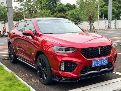 2017 WEY VV5 2.0T Flagship Model, фото 3, лот 10452125