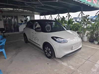 2023 Wuling Motors Wuling Bingo 333km Joyful Version, фото 4, лот 10368266