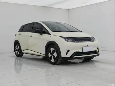 2023 Byd Dolphin, фото 3, лот 10244985