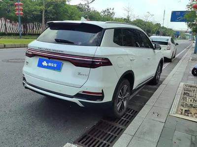 2022 BYD Song Pro New Energy DM-i 51km Luxury, фото 3, лот 10671751