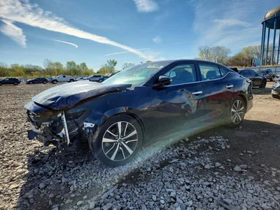 2023 NISSAN MAXIMA SV, фото 1, лот 10732437