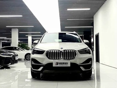 2020 BMW X1 sDrive25Li Leading Model, фото 2, лот 11567502
