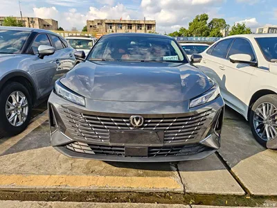 2024 Changan Eado Model 1.5T GDI Auto Enjoy Edition, фото 2, лот 10621455