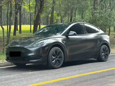 2024 Tesla Model Y Rear-Wheel Drive Version, фото 1, лот 10903000