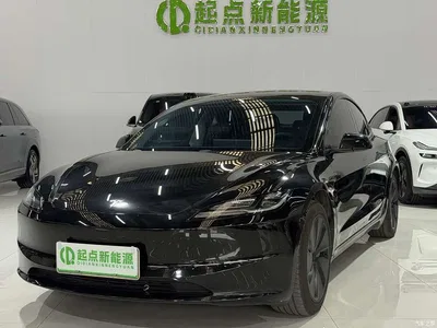 2025 Tesla Model 3 Model Rear-Wheel Drive Edition, фото 1, лот 11549484