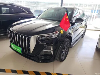 2023 Hongqi HS5 2.0T Flag Enjoy Pro Edition, фото 1, лот 10304991