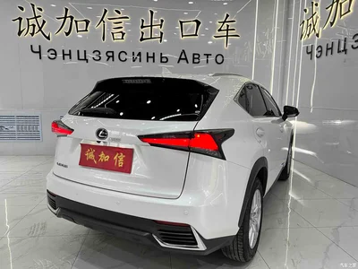 2020 Lexus NX 200 AWD F Sport China VI, фото 4, лот 10313272