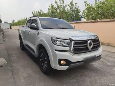 2023 Great Wall Pao 2.0T Passenger Automatic Gasoline 4WD Sport GW4C20B, фото 4, лот 10674975