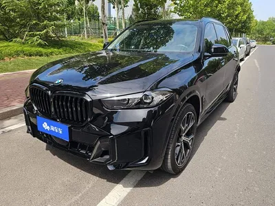 2023 BMW X5 xDrive 30Li Premium M Sport Black Night Package, фото 1, лот 10392730