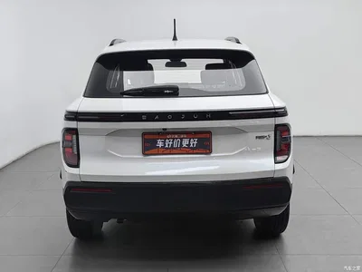 2020 Baojun RS-3 1.5L CVT 24-hour Online Elite Model, фото 4, лот 11189884