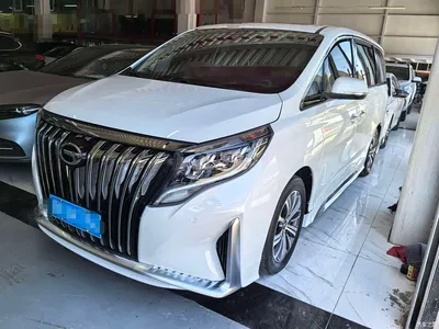2020 GAC Trumpchi Trumpchi M8 Pilot 390T Prestige Edition, фото 1, лот 10416462