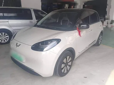 2025 Wuling Motors Wuling Bingo Model 333km Joy Edition, фото 2, лот 10370066