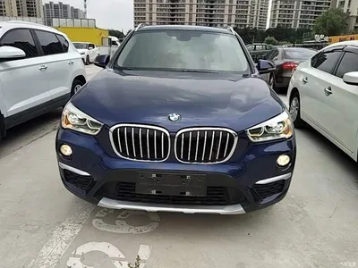 2019 BMW X1 sDrive18Li Premium Model, фото 3, лот 10467253