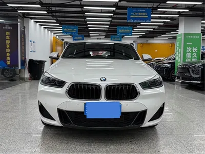 2021 BMW X2 sDrive25i Leading M Sport Package, фото 2, лот 11199933