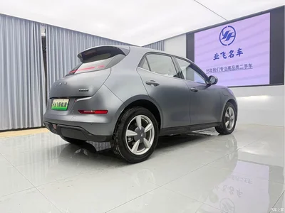 2025 Ora Good Cat 430km Honor Edition, фото 4, лот 10331471