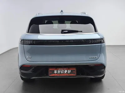 2021 Voyah Auto VOYAH FREE AWD Standard Range Extender Exclusive Luxury Package, фото 4, лот 11140536