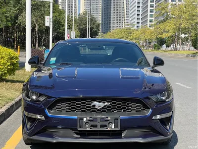 2019 Ford Mustang 2.3L EcoBoost Dark Knight Sport, фото 2, лот 10281089
