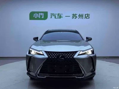 2020 Lexus UX Electric 300e Pure Enjoyment Edition, фото 2, лот 10317076