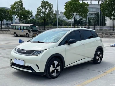2023 BYD Dolphin 420km Fashion Edition, фото 1, лот 10889916