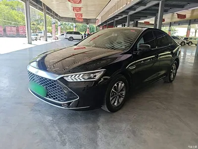 2024 BYD Qin PLUS Glory Edition DM-i 55KM Leading, фото 1, лот 10362773