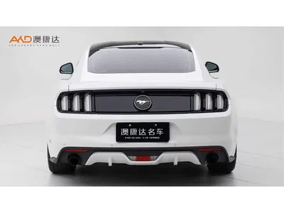2017 Ford Mustang 2.3T Performance Edition, фото 4, лот 10293208
