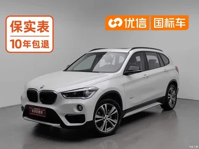 2018 BMW X1 xDrive20Li Premium Model, фото 1, лот 11260682