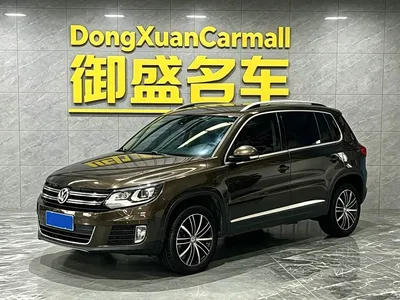 2013 Volkswagen Tiguan 2.0TSI Automatic AWD Flagship Edition, фото 1, лот 10478187