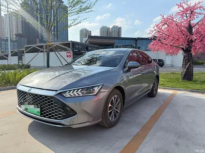 2024 BYD Qin PLUS Glory Edition DM-i 55KM Leading, фото 1, лот 10363471