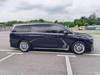 2024 Voyah Auto Voyah Dreamer PHEV Extended Range Premium Edition, фото 4, лот 10437121