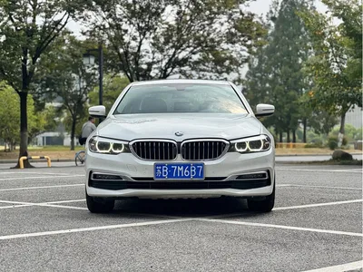2019 BMW 5 Series 530Li xDrive Luxury Package, фото 2, лот 10807862