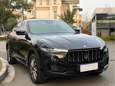 2016 Maserati Levante 3.0T Standard, фото 3, лот 10322330