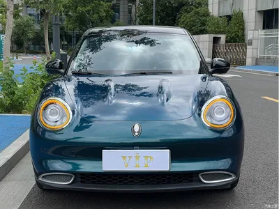 2021 Ora Good Cat 400km Standard Range Muse Edition (LFP), фото 2, лот 10330363