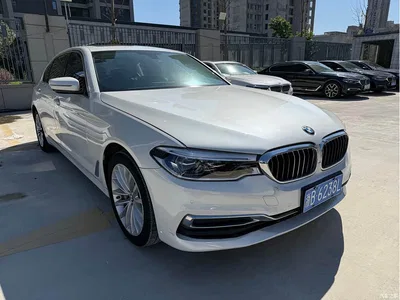 2020 BMW 5 Series 530Li xDrive Luxury Package, фото 4, лот 11568170