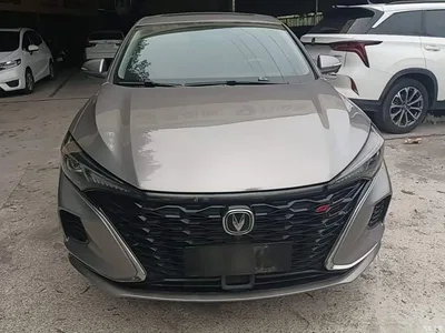 2021 Changan Eado PLUS Blue Whale NE 1.4T GDI DCT Flagship, фото 3, лот 10253823