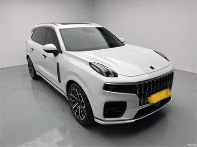 2023 Lynk & Co 09 EM-P 2.0TD EM-P AWD Asian Games Executive Edition 5-Seater, фото 3, лот 11095884