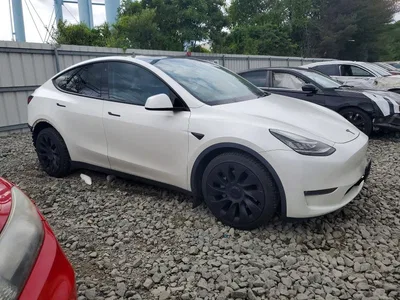 2023 TESLA MODEL Y, фото 4, лот 10996559