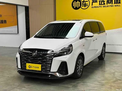 2023 Buick GL8 Land Business Class Premium, фото 1, лот 10251933