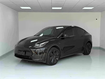 2022 Tesla Model Y Rear-Wheel Drive Version, фото 1, лот 10455061