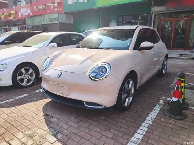 2021 Ora Good Cat 400km Standard Range Athena Edition (LFP), фото 1, лот 10804359