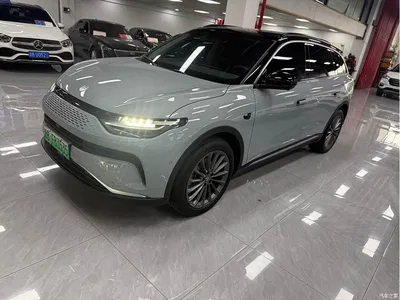 2024 Leapmotor C11 Extended Range 300 Premium Edition, фото 1, лот 10315218