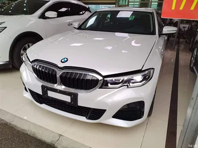 2020 BMW 3 Series 320Li M Sport Package, фото 1, лот 10458209